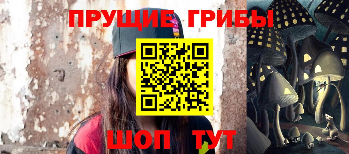 Псилоцибиновые грибы мицелий  Псилоцибиновые грибы GOLDEN TEACHER  наркотики  Канск  Вход с VPN 